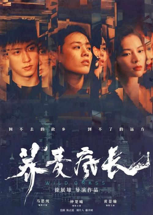 卡塞尔大学设计学位证